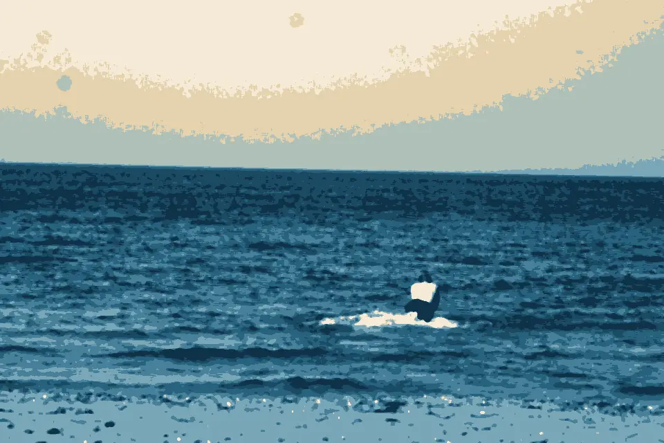 Brackley Beach: The Way to Spend a Saturday (208634708)