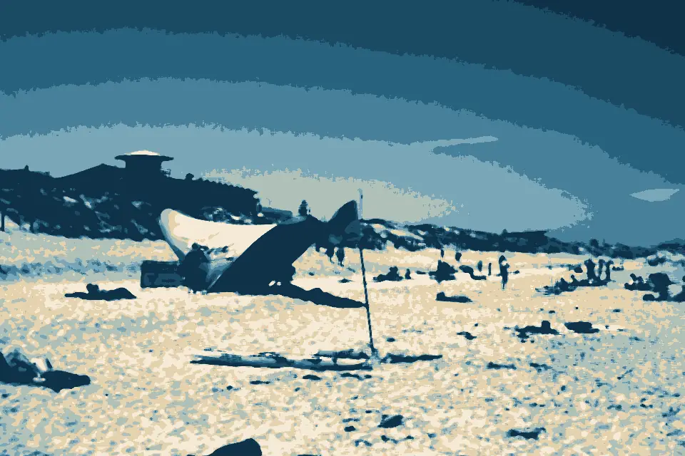 Elouera Beach: Elouera Beach 1