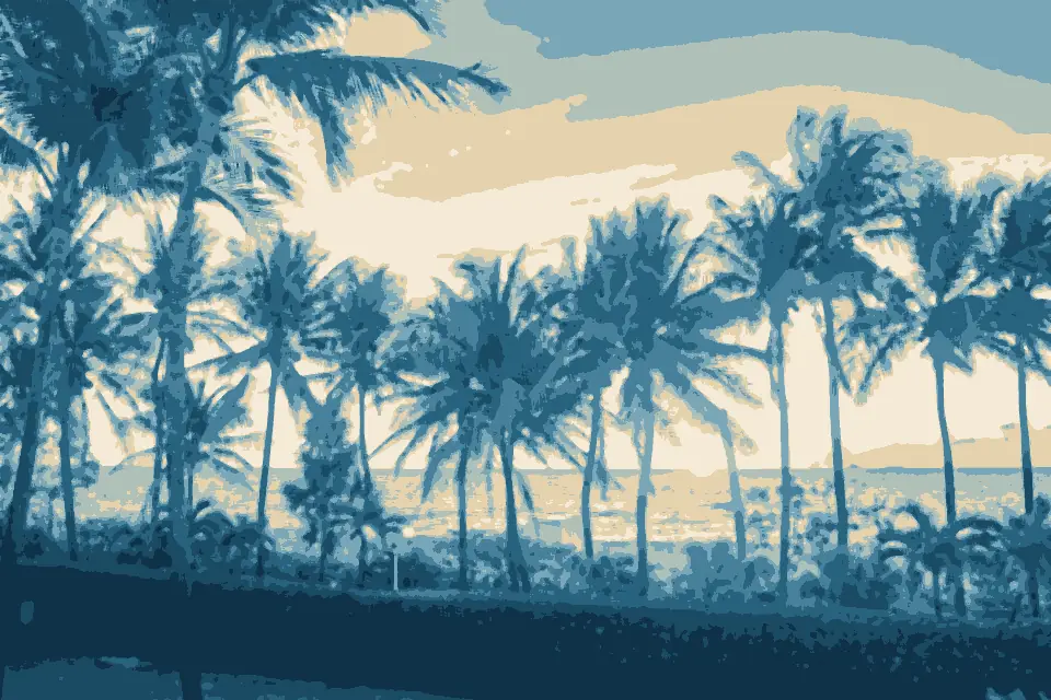 Indian Beach: First Light Through Palms (54415533856)