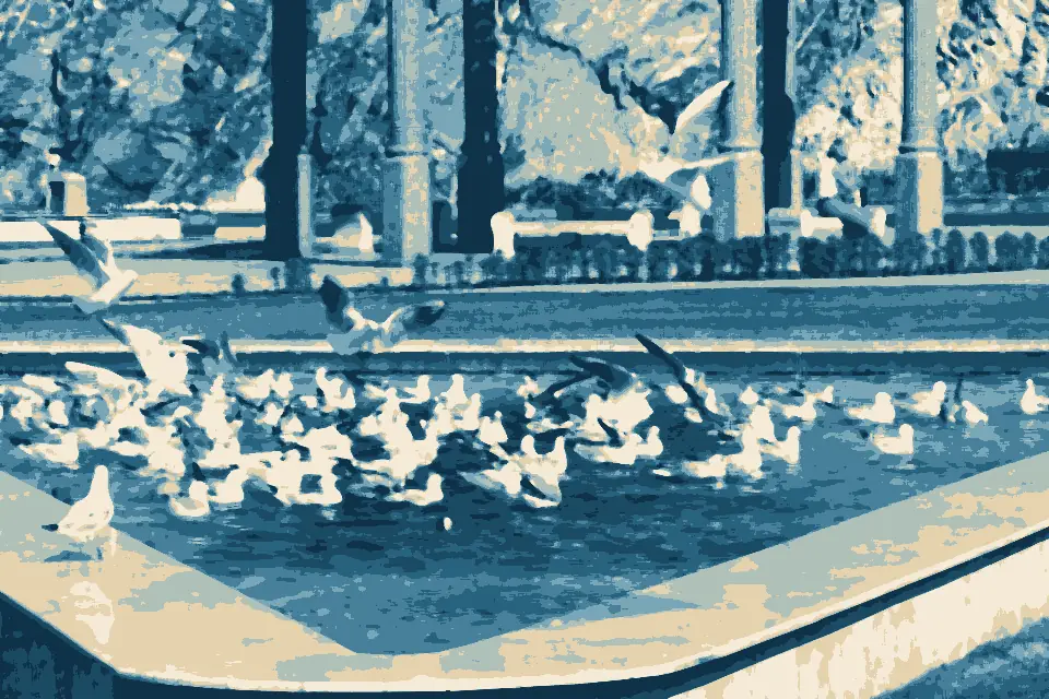 Khawr Kalbūh: Masqat promenade - the sea-gull's parade - panoramio