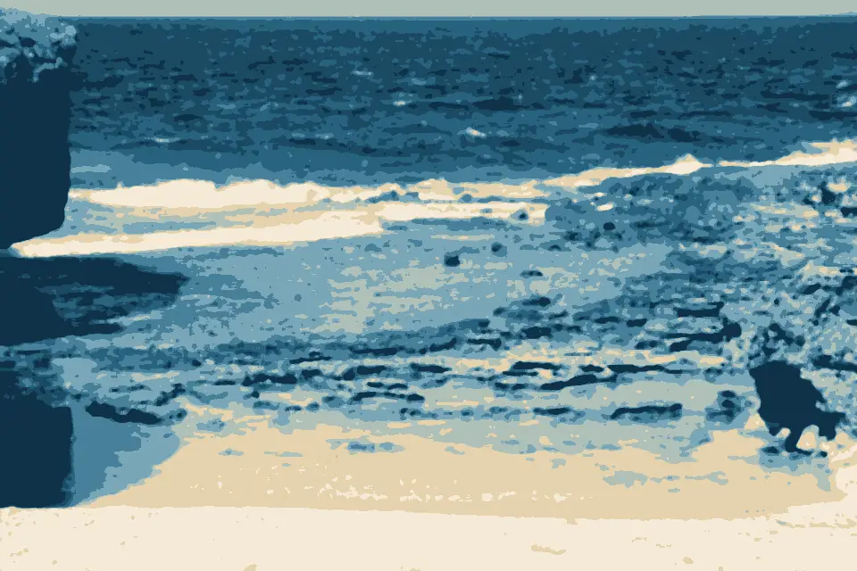 Lily Beach: Lily Beach (25445124181)