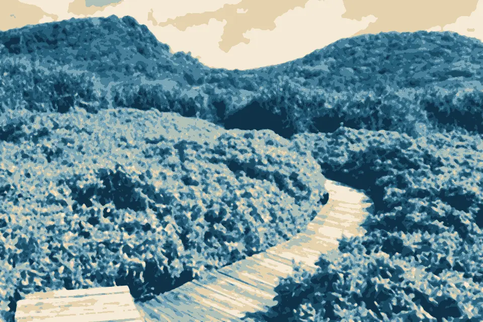 Lily Beach: Lily Beach Boardwalk (24902579054)