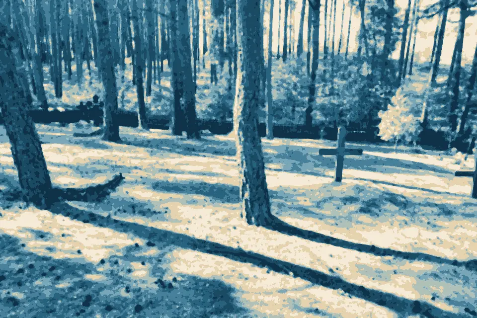 Mažoji Preilos Įlanka: Preilos etnografinės kapines, Preila, Neringa 02