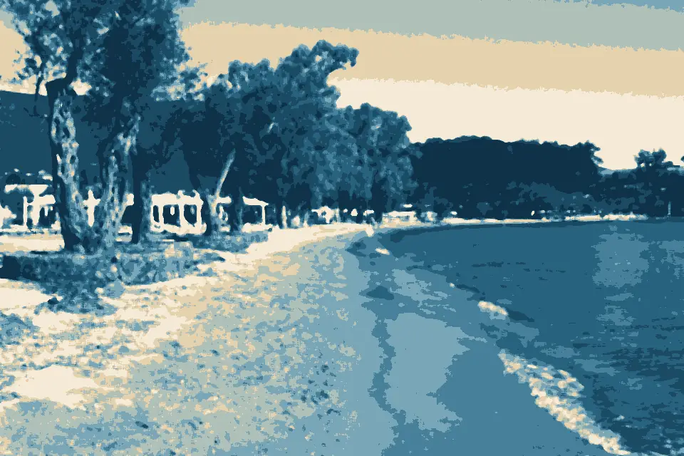 Órmos Krevatsoúla: Oliwki na plaży Ipsos Dassia