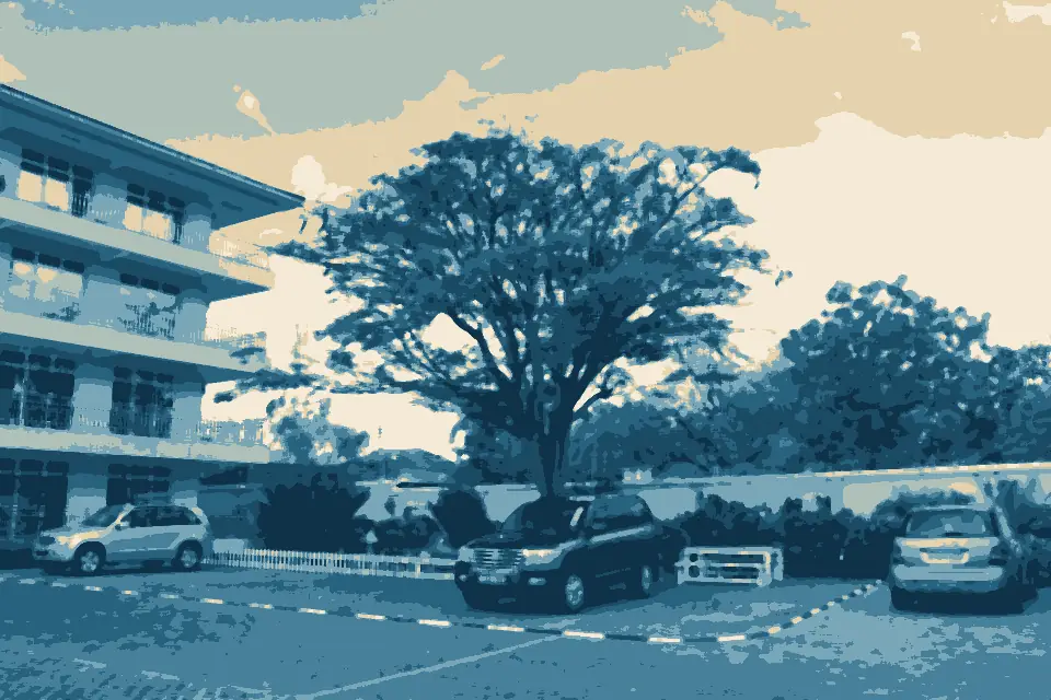 Oyster Bay: Oyster Bay, Dar es Salaam, Tanzania - panoramio (1)