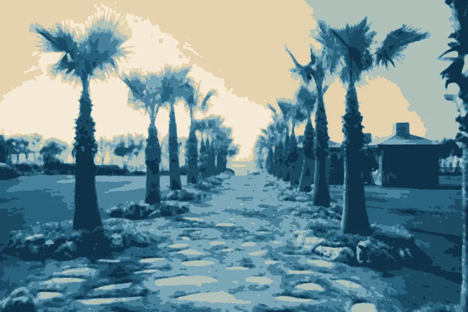 Özlü Plajı: Path to the sea among palm trees - panoramio