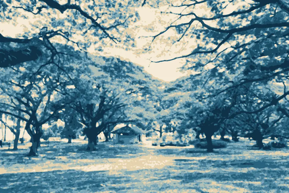 Pasir Ris Beach: Field ringed by trees at Pasir Ris Park, with sea in the distance