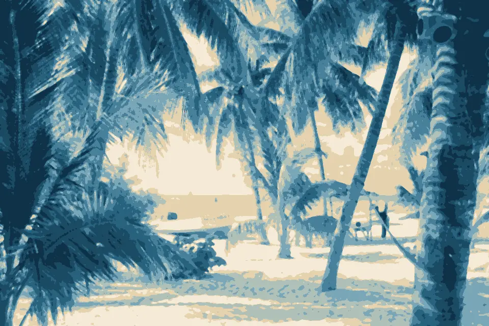 Playa Sol: Beach with palm trees at Isla Mujeres - panoramio