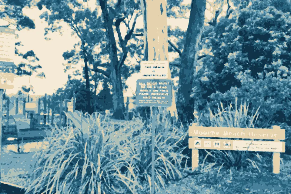 Sapphire Beach: Moonee Beach Reserve 2023
