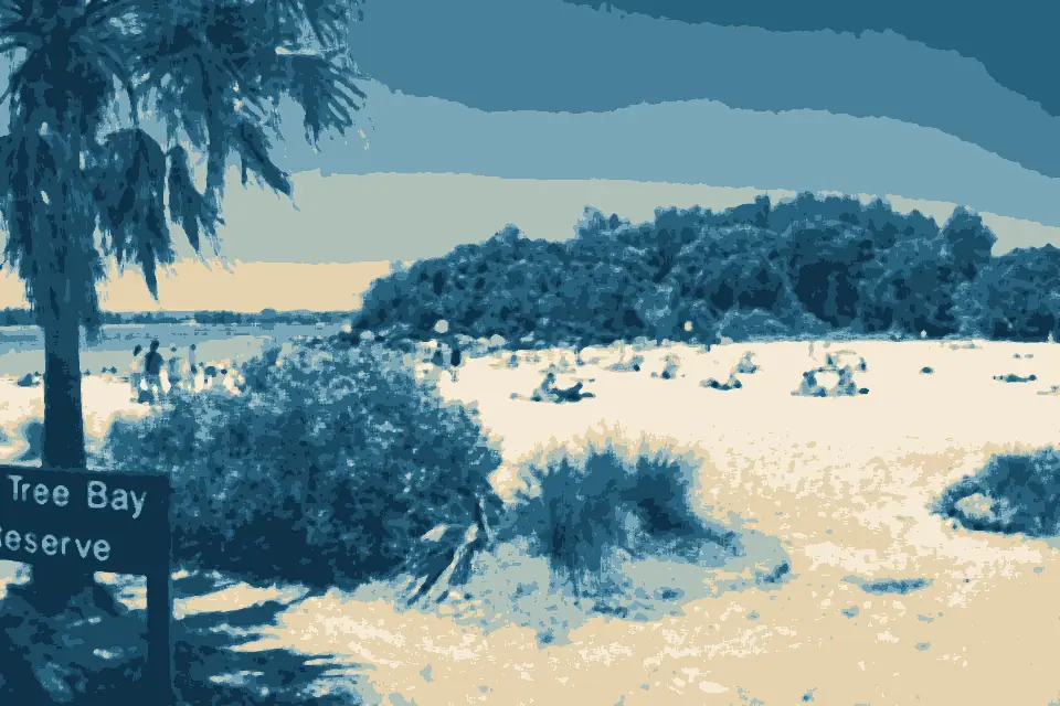 Shelly Beach: Shelly Beach in Manly Sydney Australia