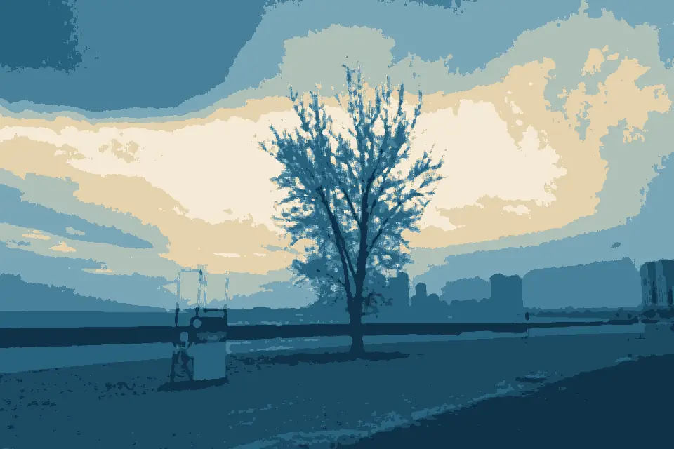Sunnyside Beach: Lone tree on Sunnyside Beach, Toronto, November 2025