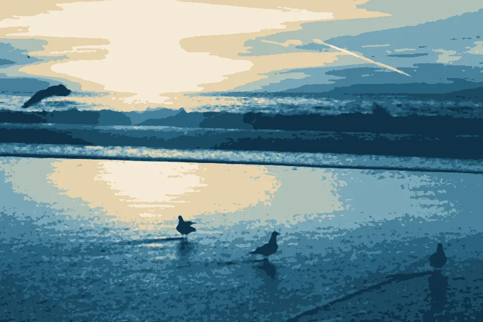 Torrance County Beach: Birds in the Rise - panoramio