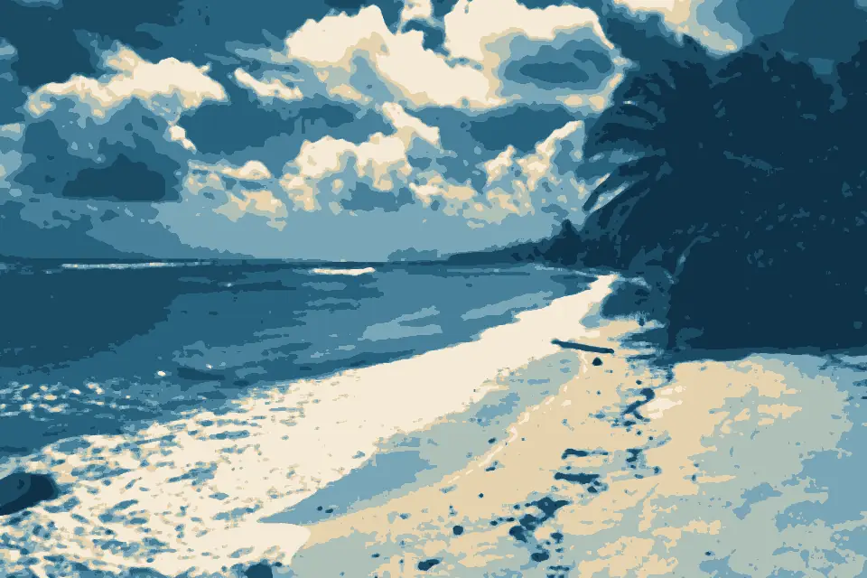 Trannies Beach: West Coast (24683434765)