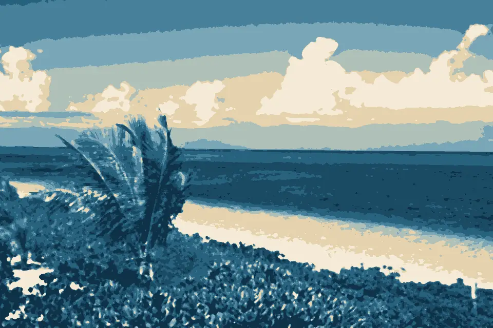 Turtle Cove: Turtle Cove Providenciales Beach