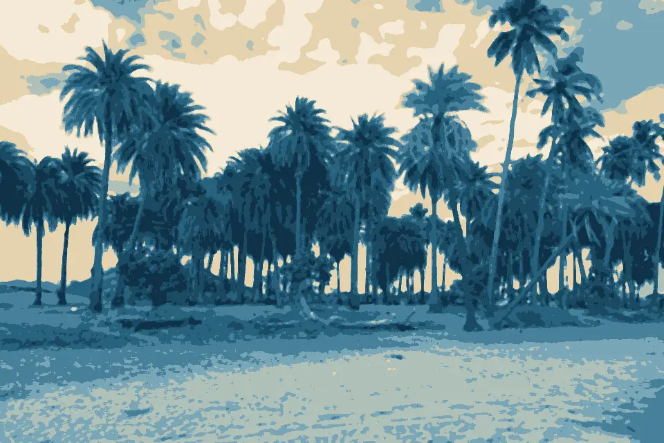 Wailoaloa Beach: Wailoaloa Beach Viti Levu Fiji (3)