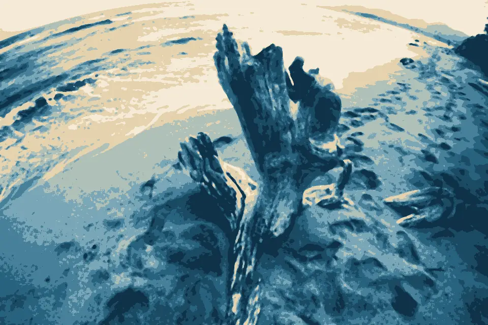 Waipouli: Driftwood in Wailua, Hawaii (38332601122)