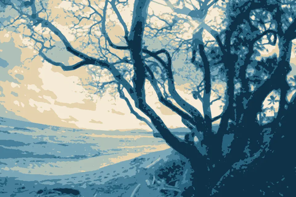 Waipouli: Beach Tree Silhouette (38210047392)