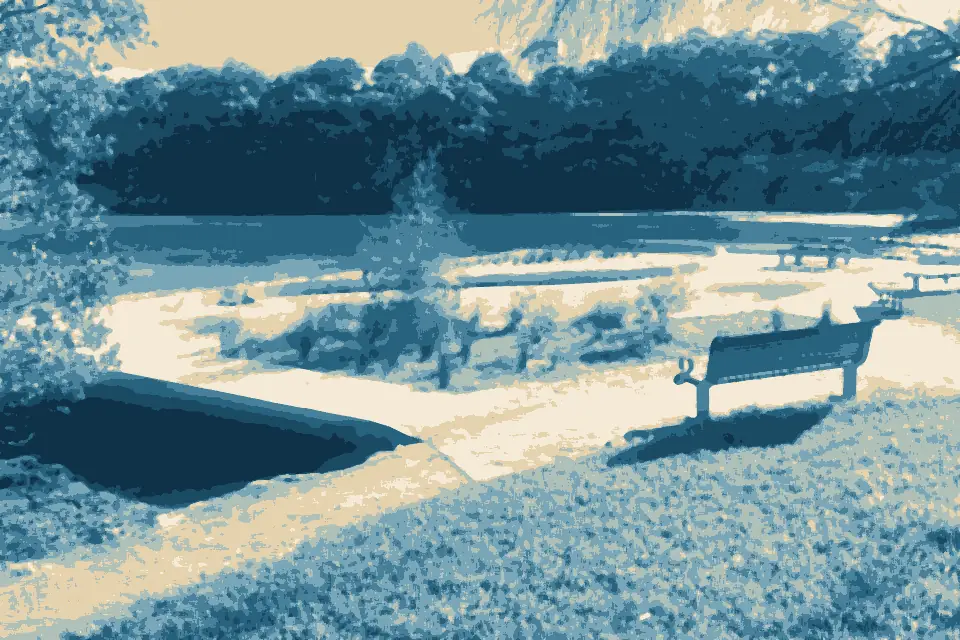 White Bay: Tambourine Bay foreshore park 2019
